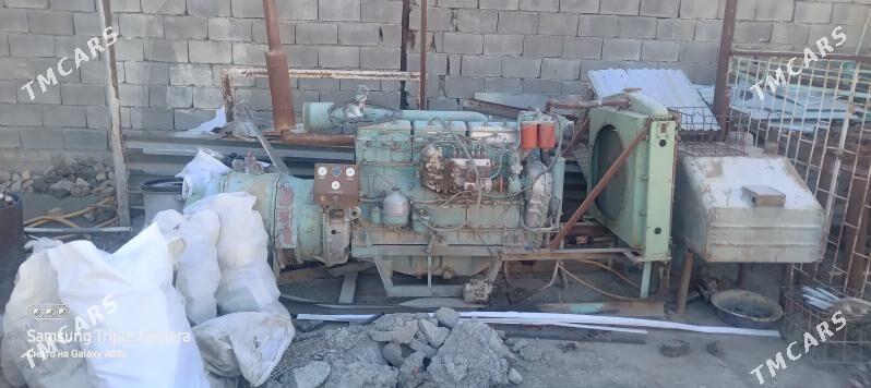 Tok öndurji diwijok - Багир - img 1