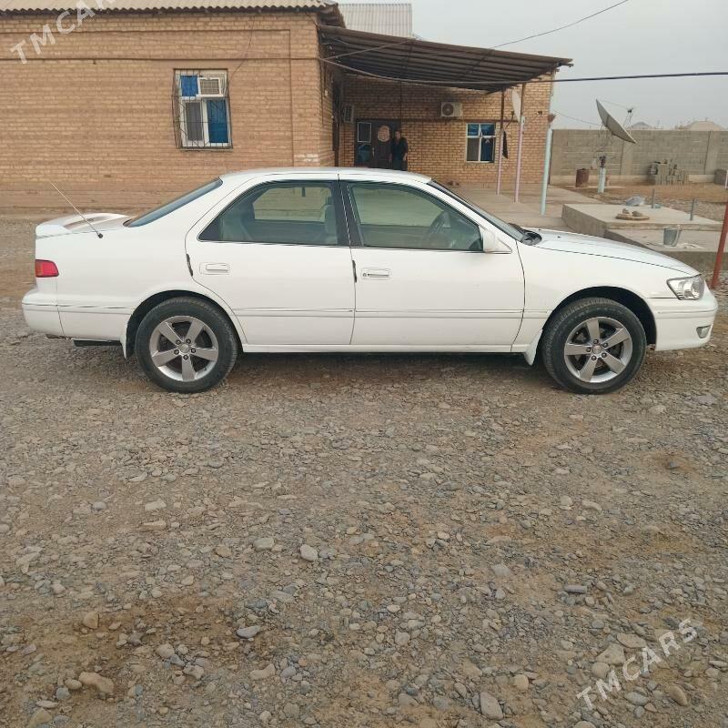 Toyota Camry 2001 - 145 000 TMT - Бабадайхан - img 1