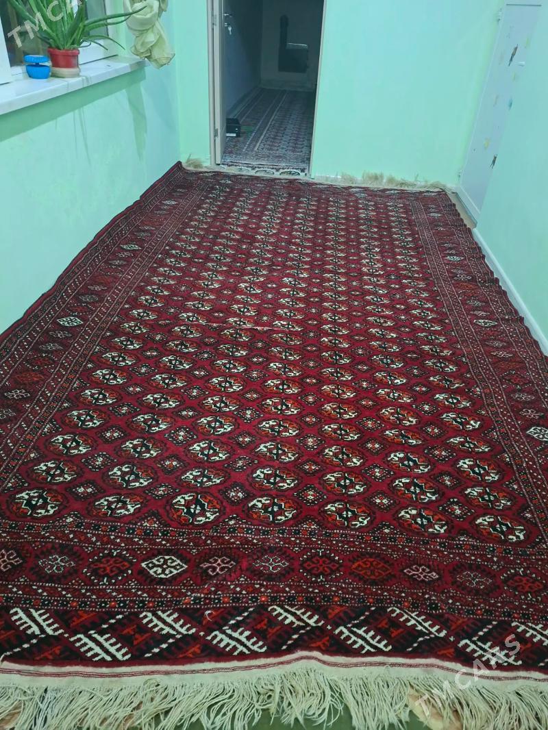 el haly - Кака - img 1