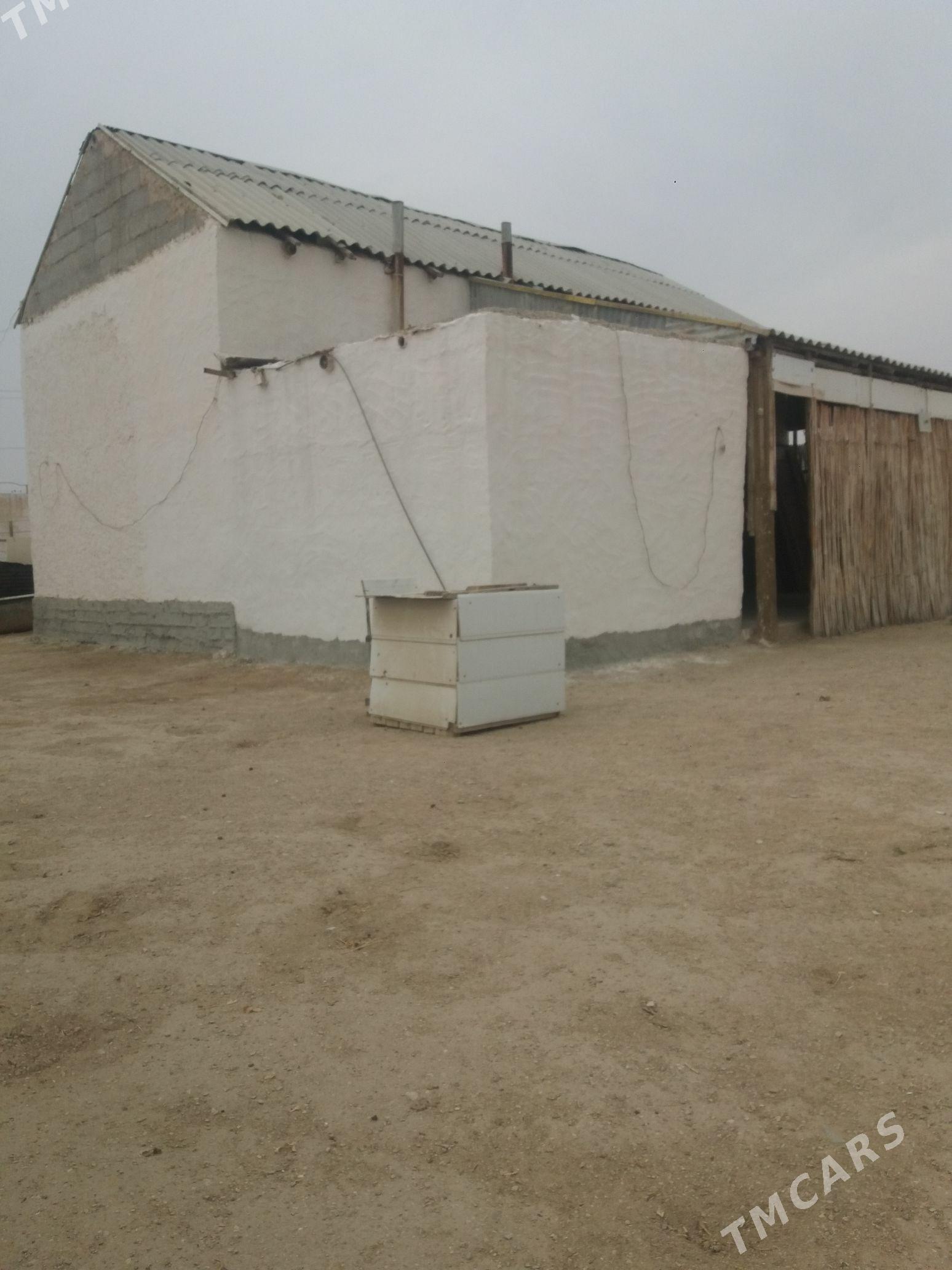 yerden jay - Балканабат - img 1