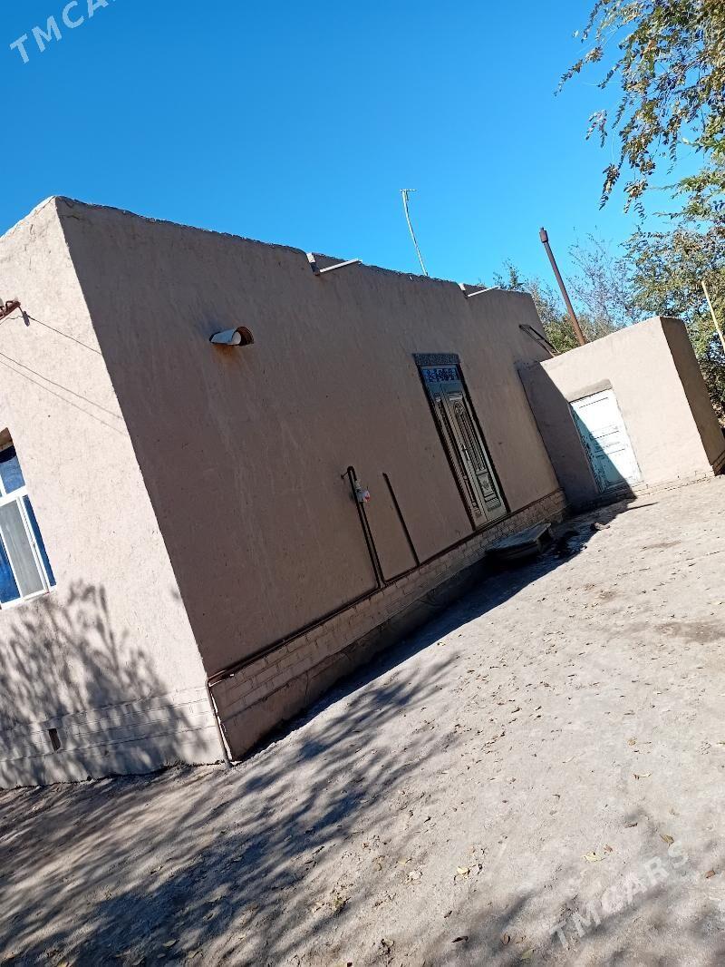 satlyk Jay - Köneürgenç - img 1