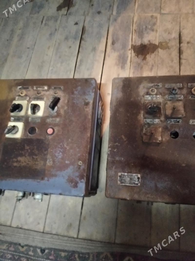 тогын щитьлери - Boldumsaz - img 1