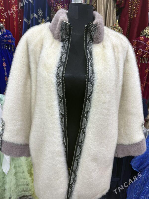 shuba - Aşgabat - img 1