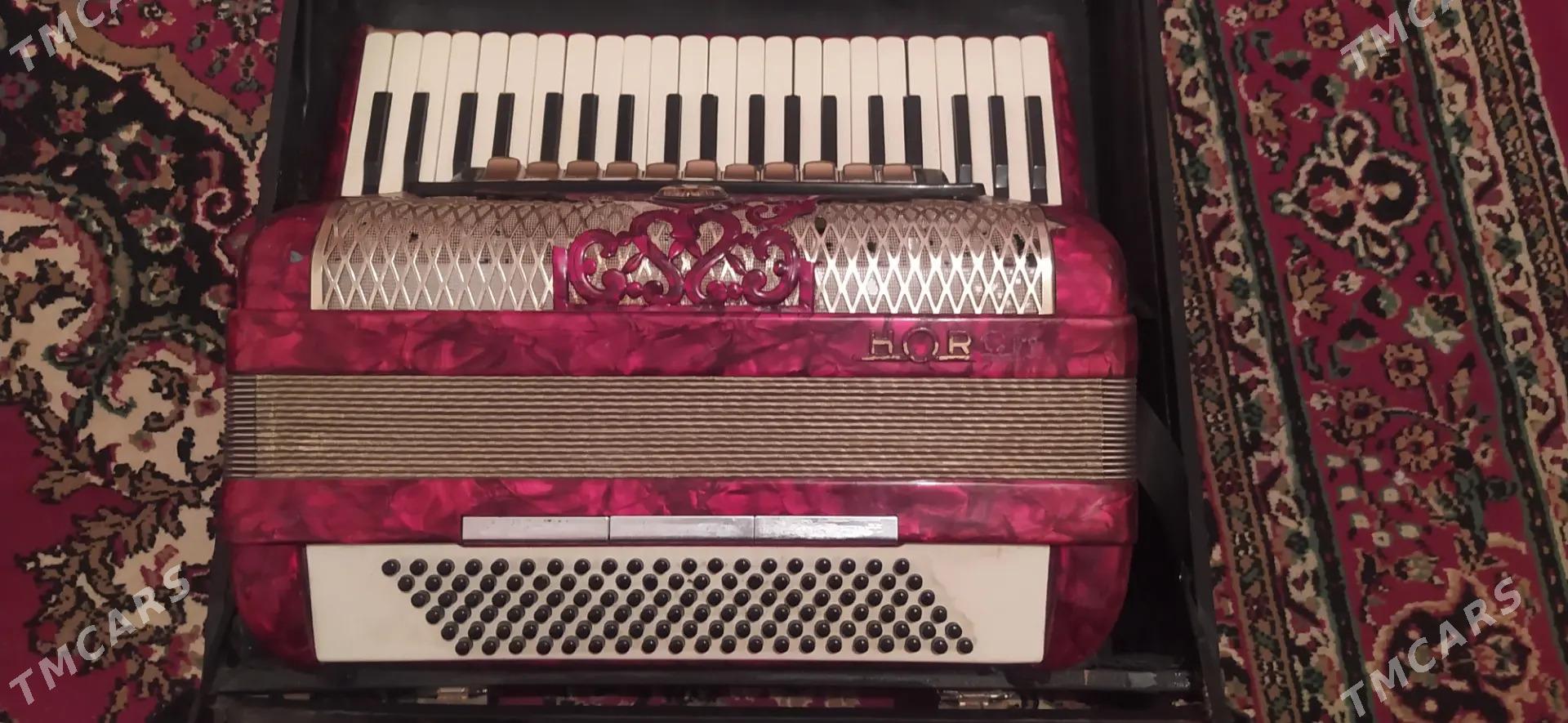 Akkordeon HOCH - Дянев - img 1