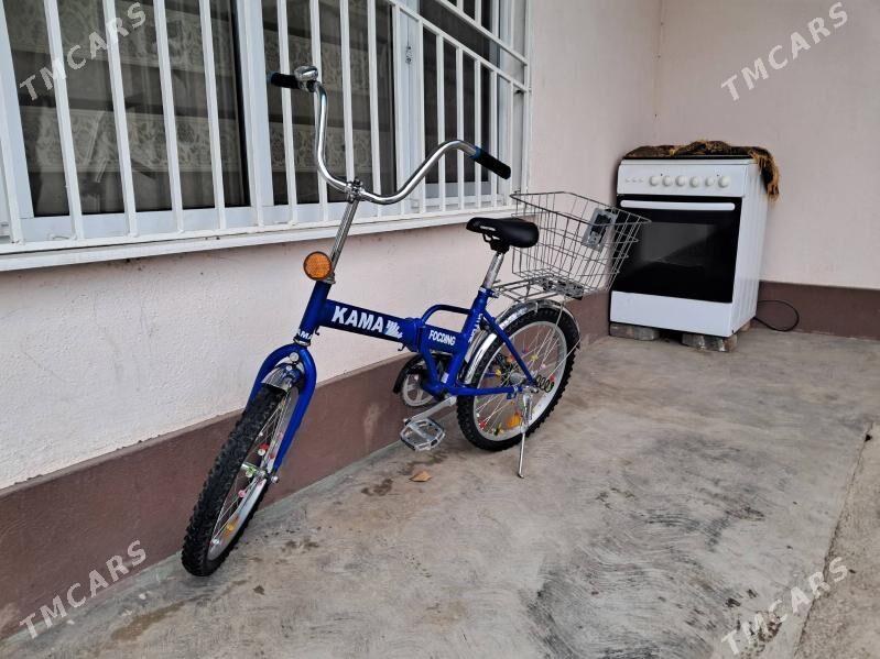 tigir kama - Bagyr - img 1