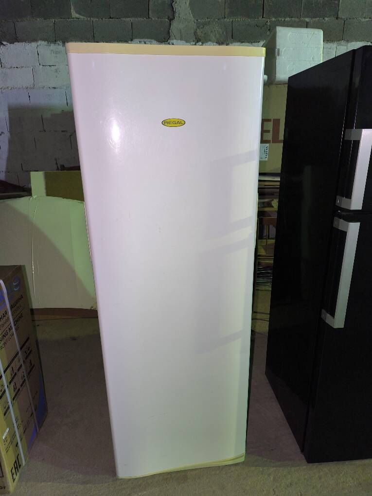 HOLODILNIK REGAL ARASSAJA - Aşgabat - img 1