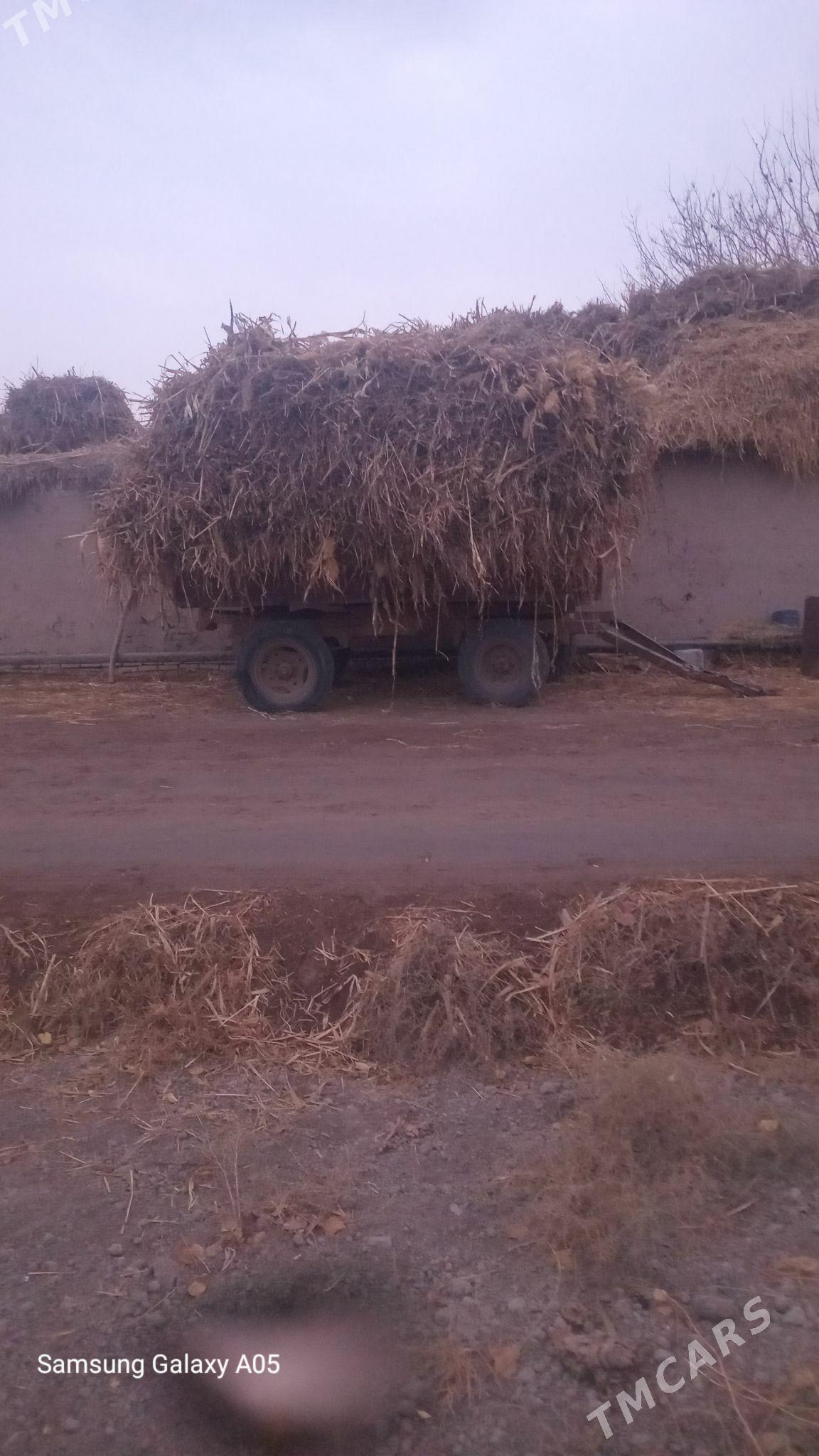 Mal ot - Boldumsaz - img 1