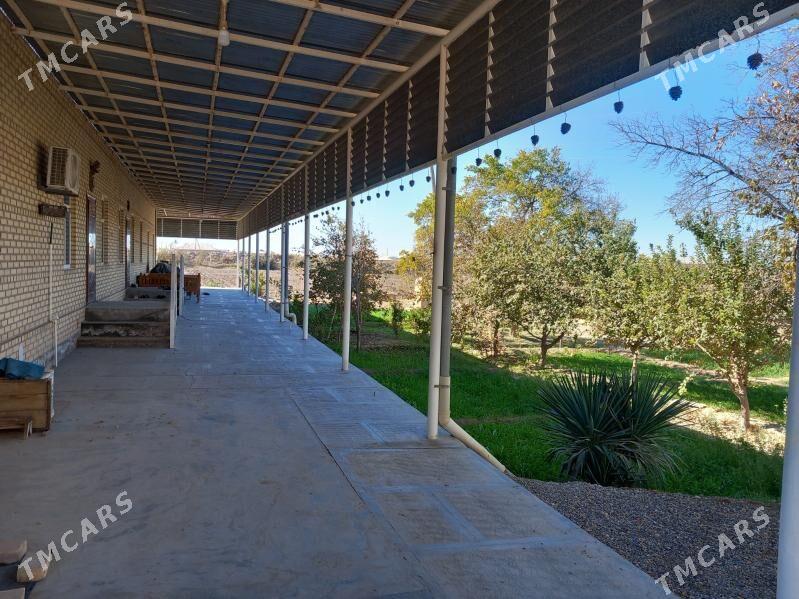 jaý - Wekilbazar - img 1