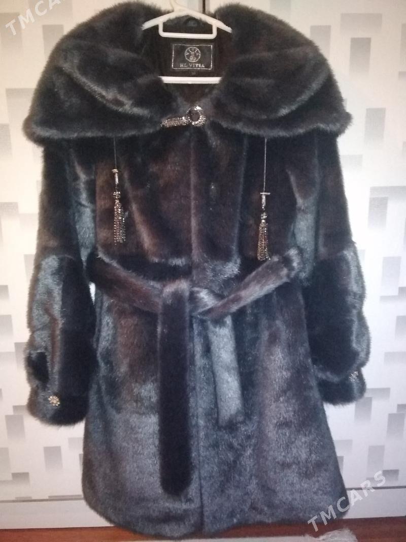 şuba - Balkanabat - img 1