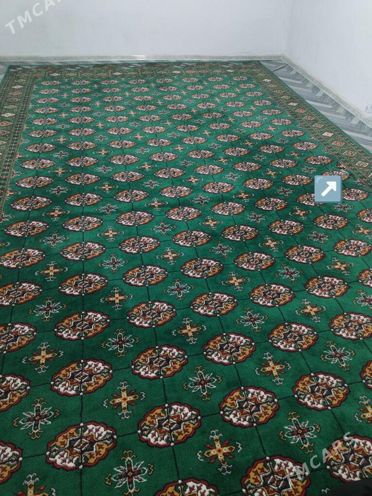 haly. 3x5 - Büzmeýin - img 1