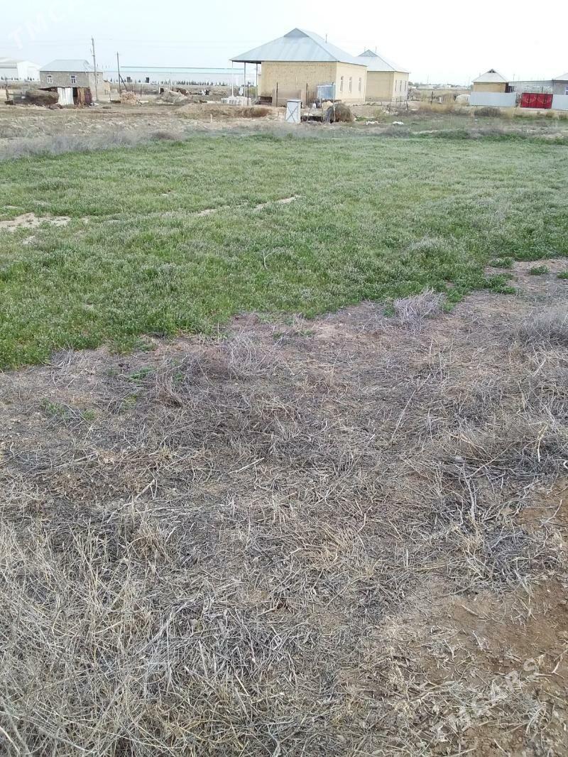 Mellek - Шатлык - img 1