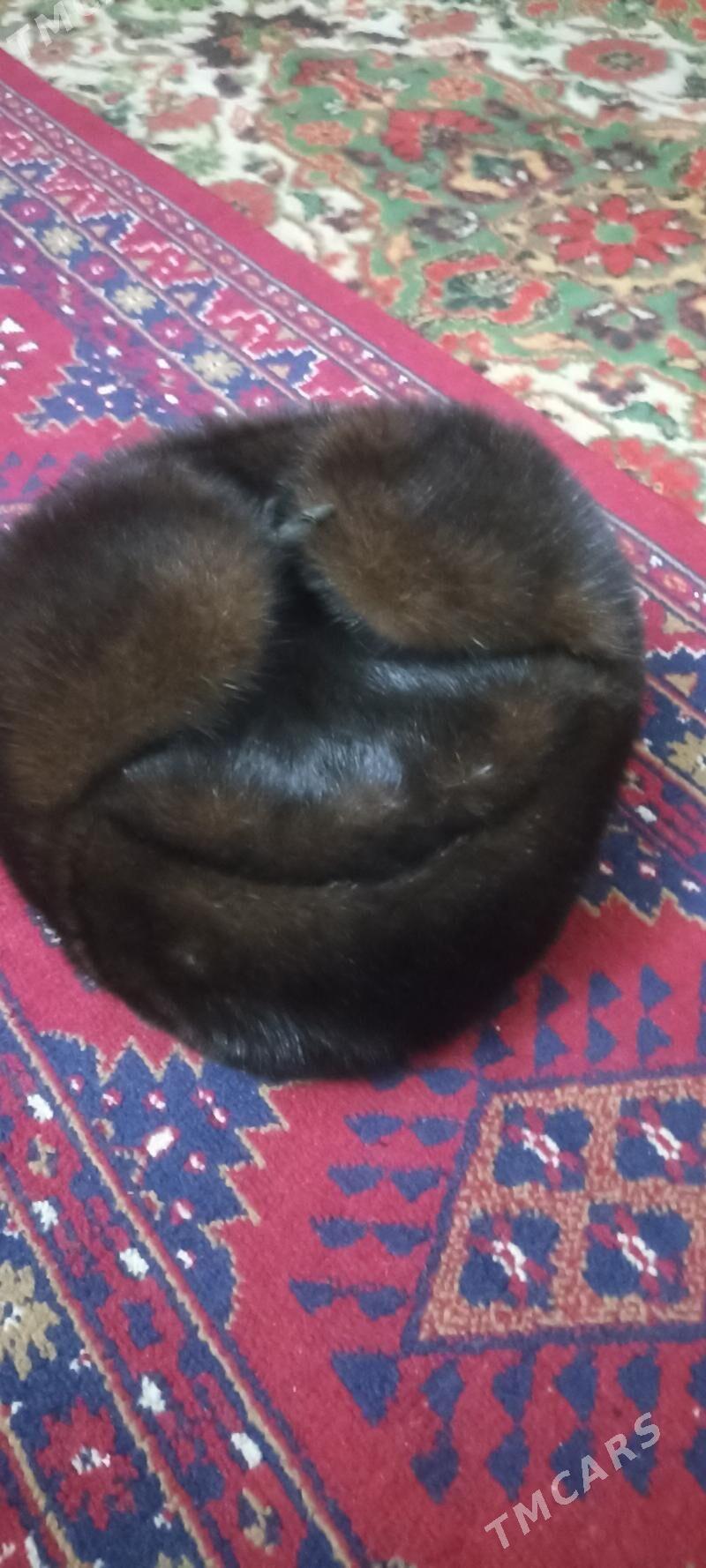 Norka papak - Daşoguz - img 1