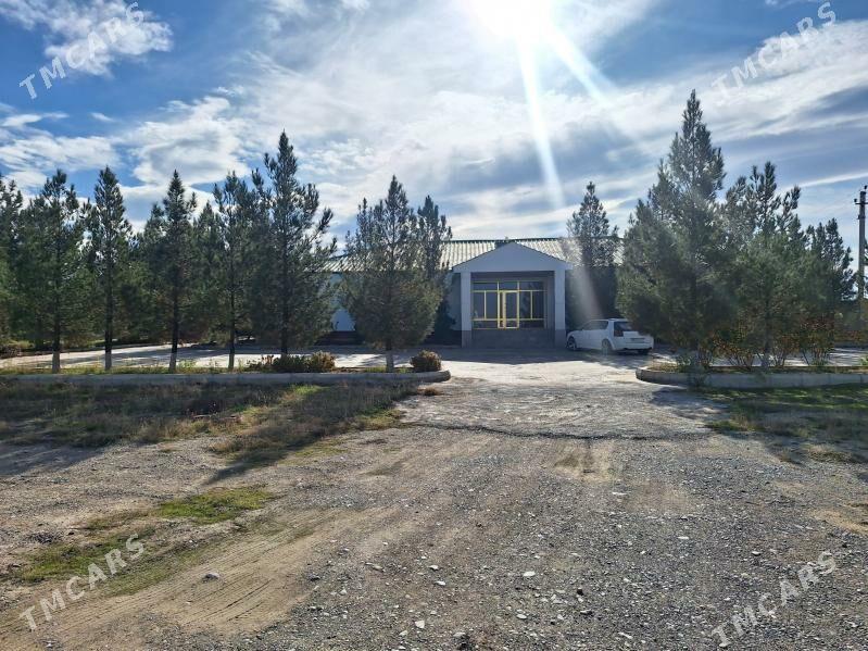 YER EDARA - Änew - img 1