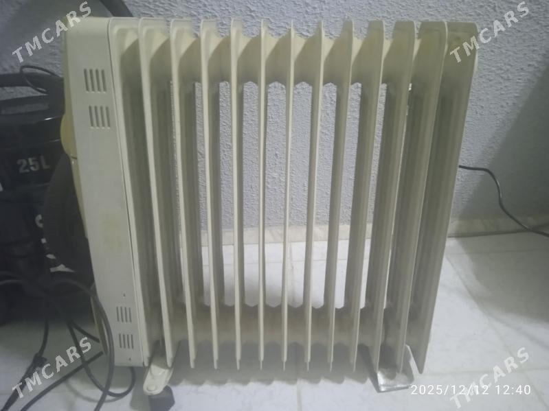 gapyrga pec - Bagyr - img 1