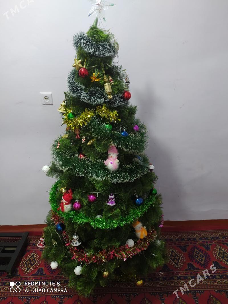 taze yyl Ýolka - Bekrewe - img 1