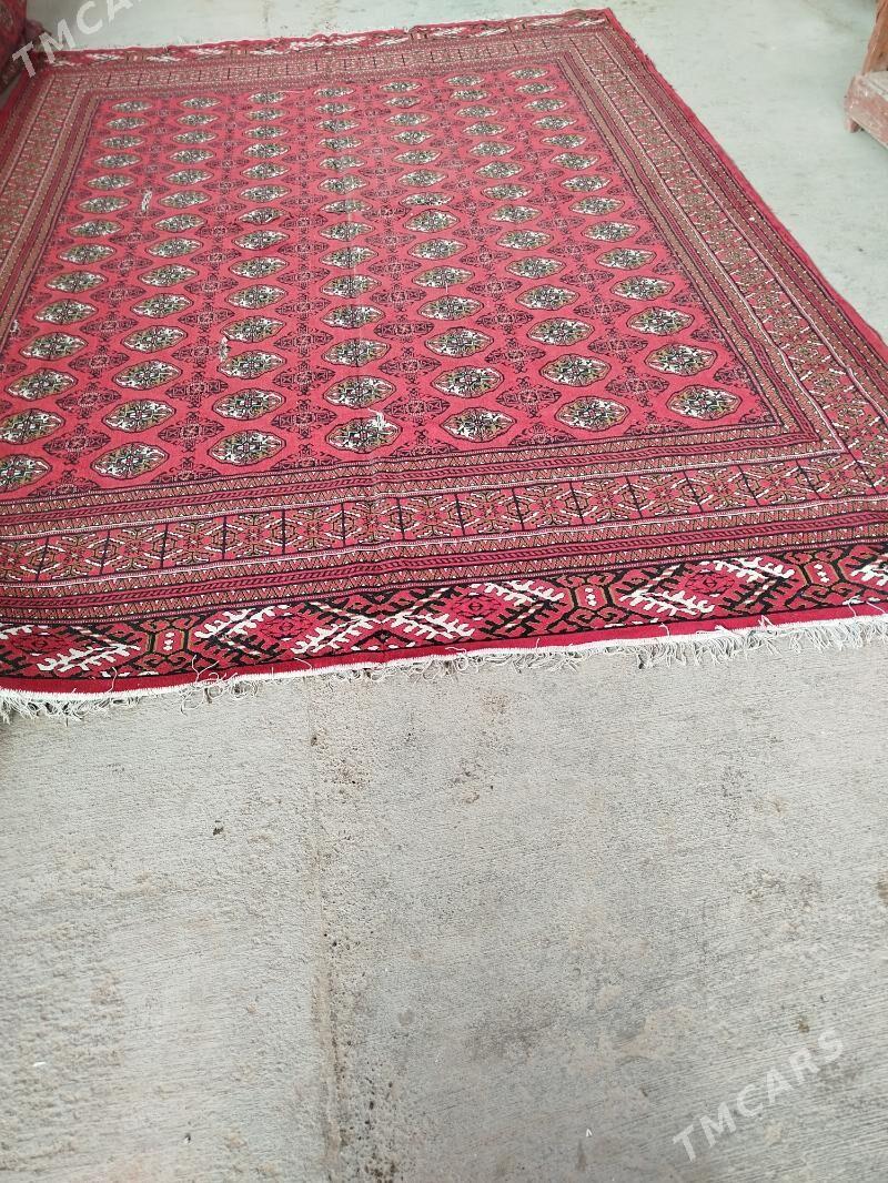 hali - Baýramaly - img 1