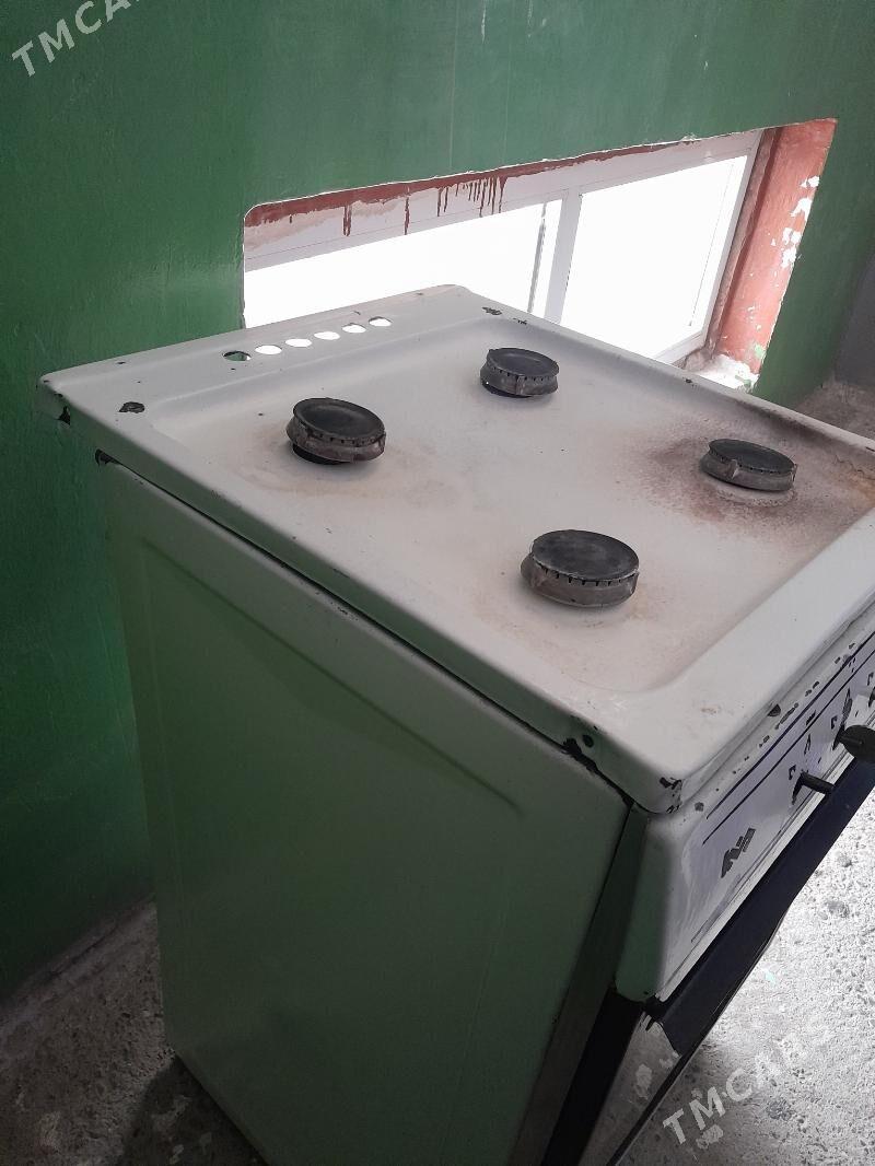 4 gözli gaz - Daşoguz - img 1