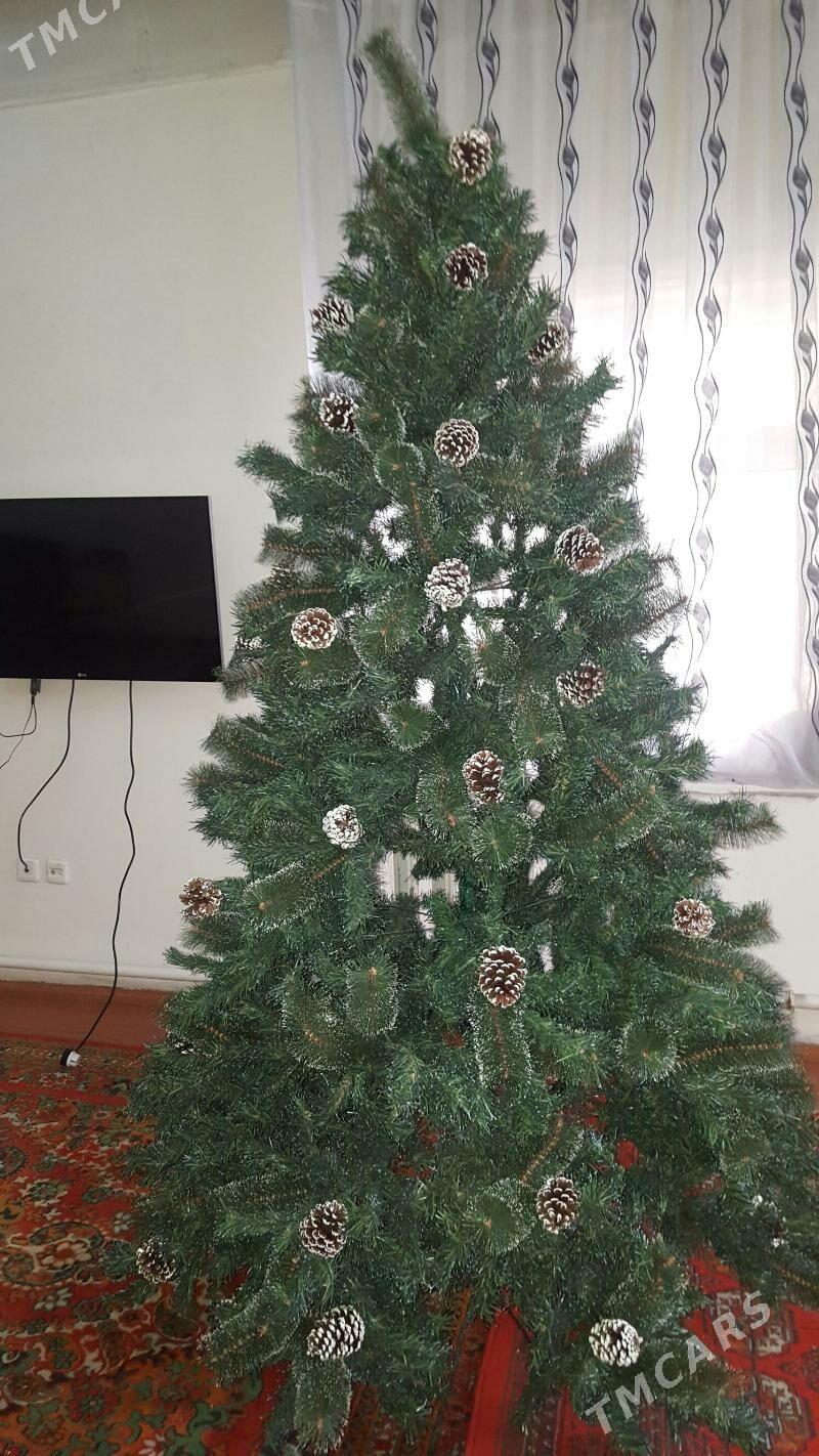 Ýolka - Aşgabat - img 1