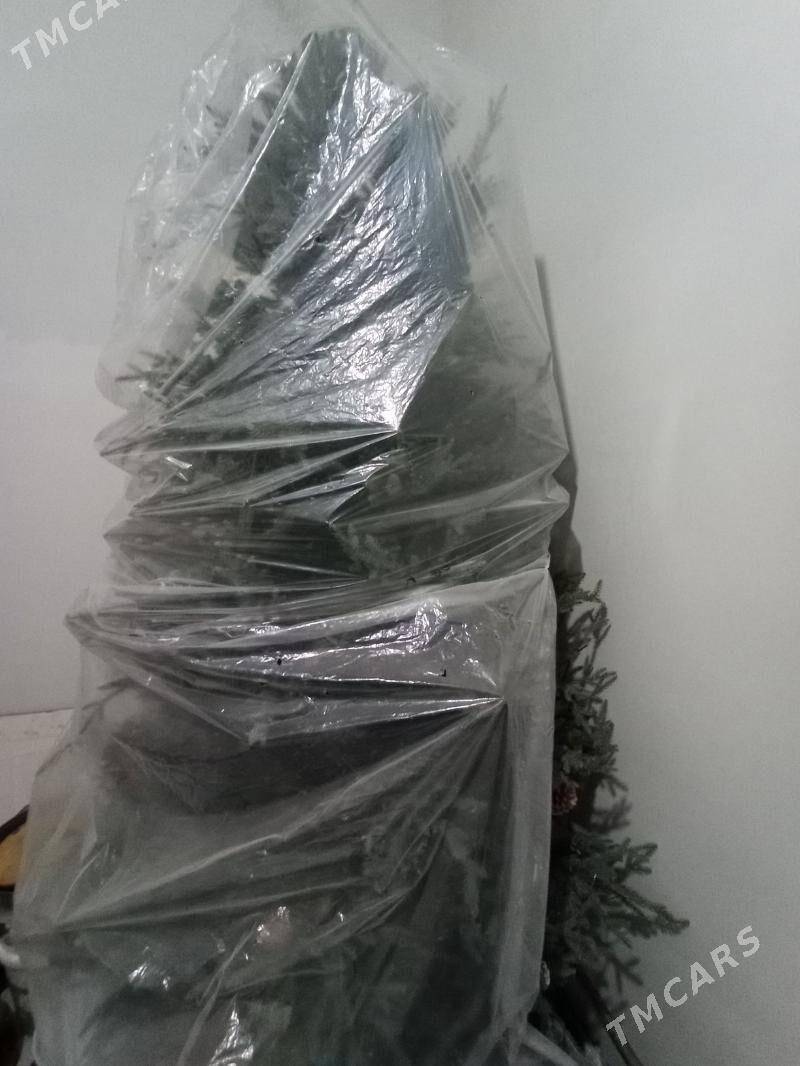 yolka taze yyl - Arkadag - img 1