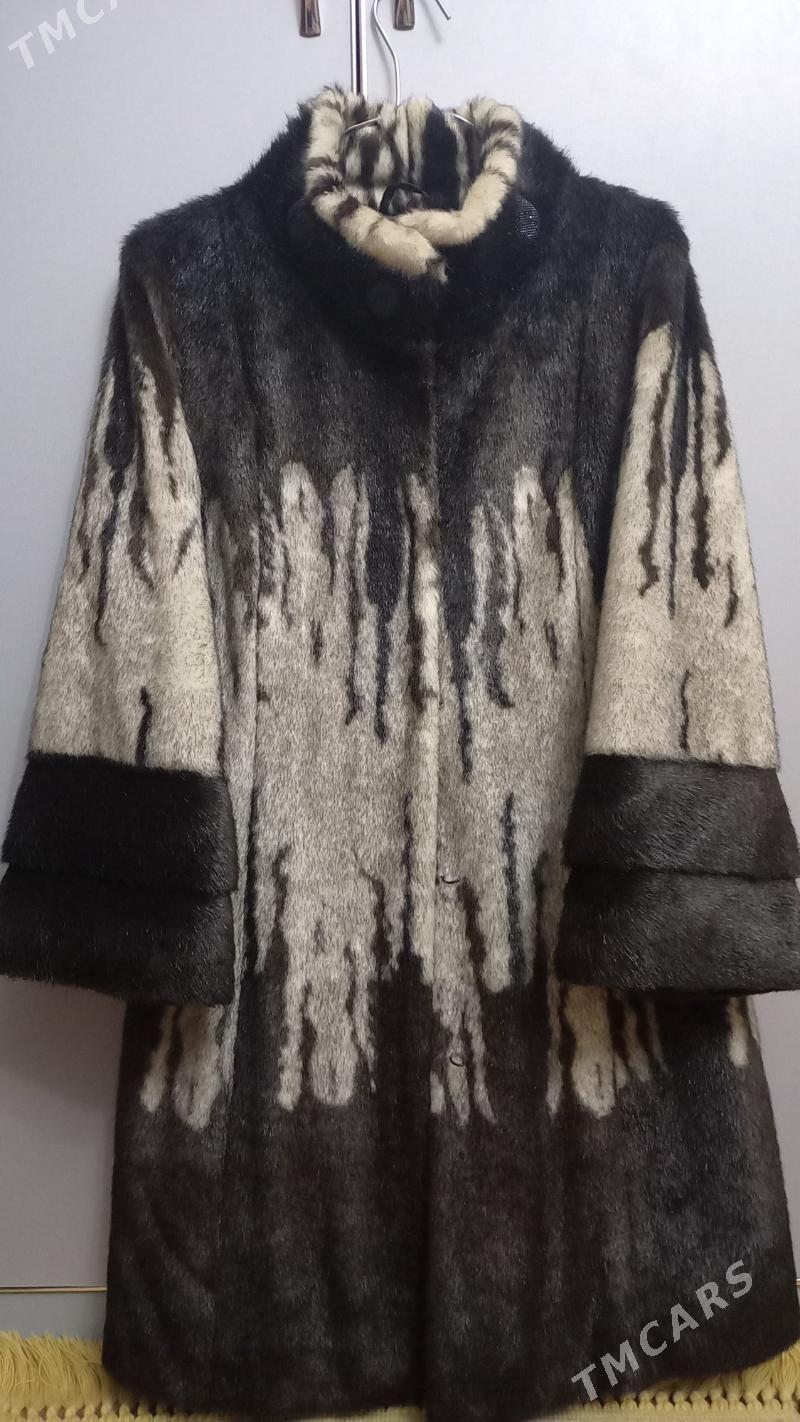 Şuba - Balkanabat - img 1