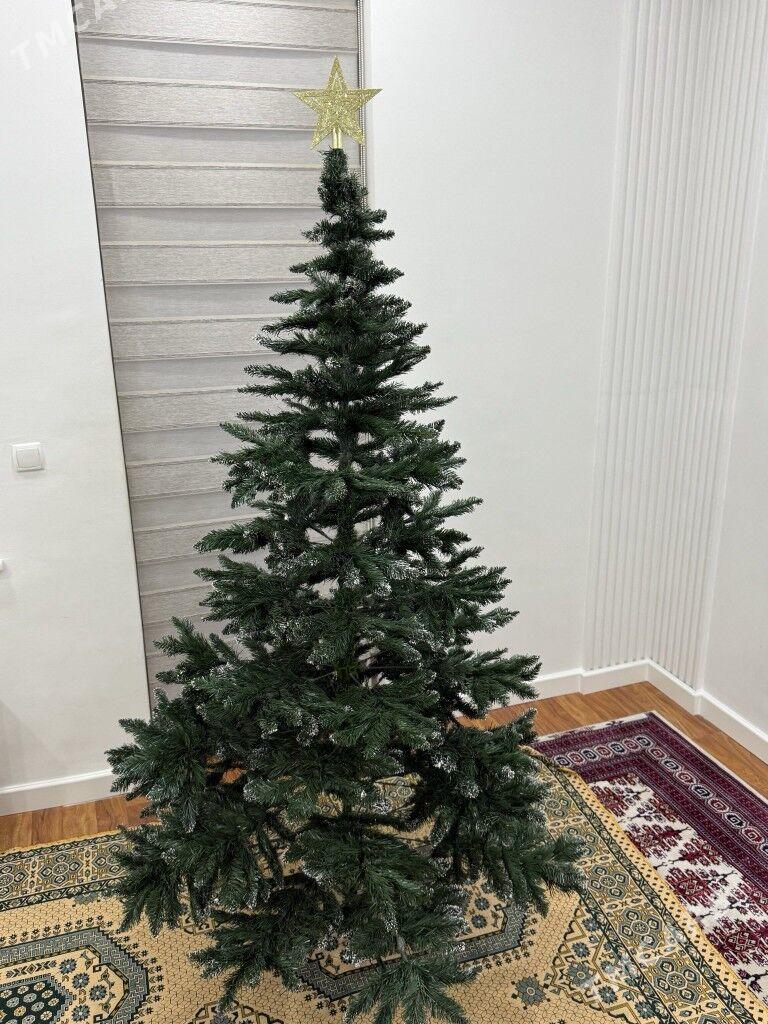 Yolka - Gagarin köç, köne Howa menzili - img 1