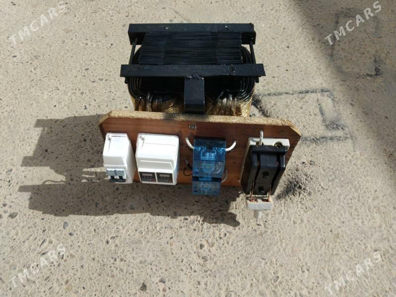 Tok köpeltýän - Sakarçäge - img 1