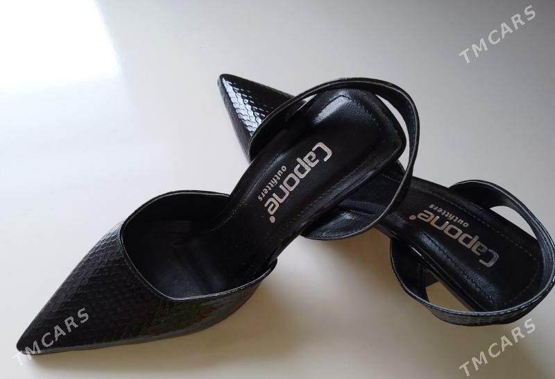 Basanoska - Türkmenbaşy - img 1