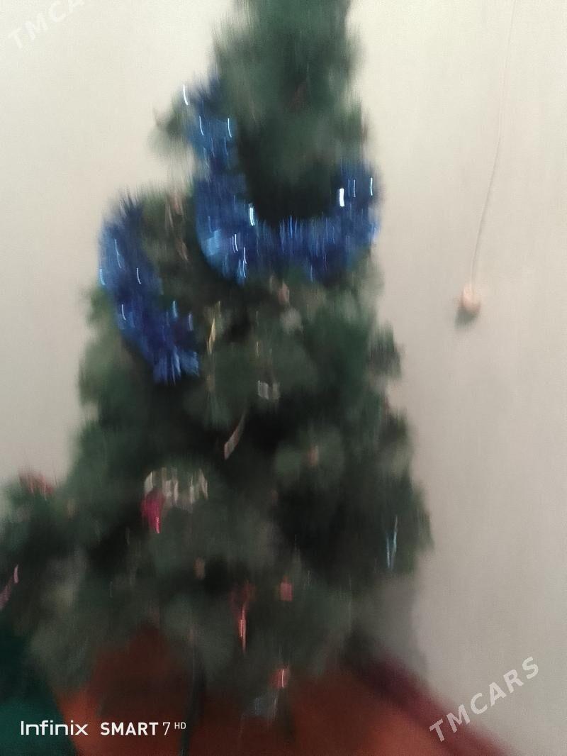 Ёлки - Дашогуз - img 1