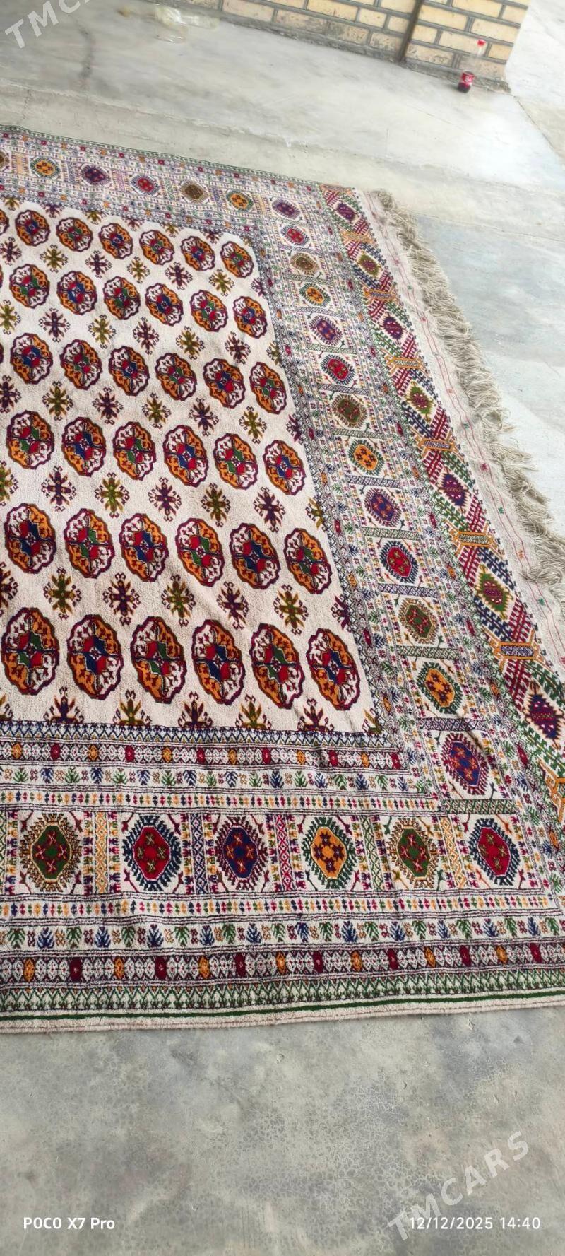 el haly 3/4 - Бахарден - img 1