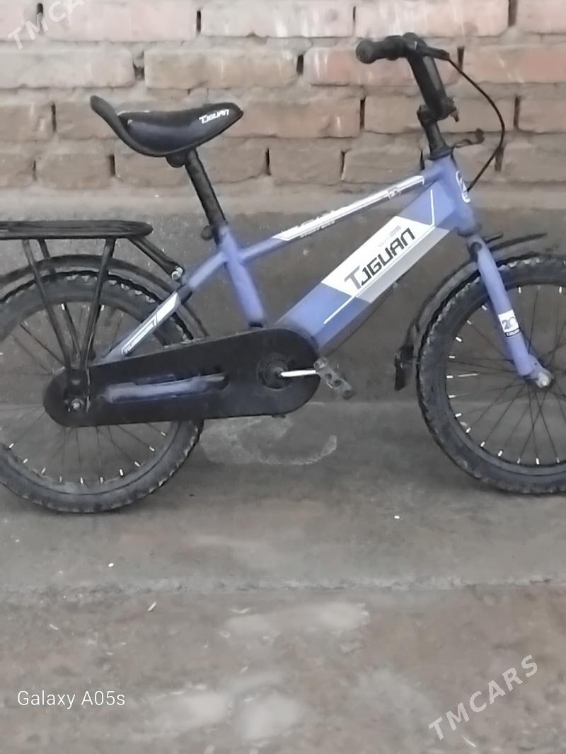 TİGİR - Bäherden - img 1