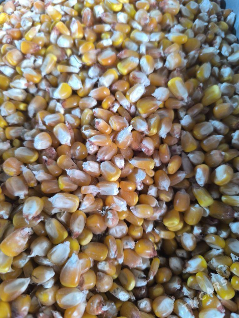 mekge - Теджен - img 1