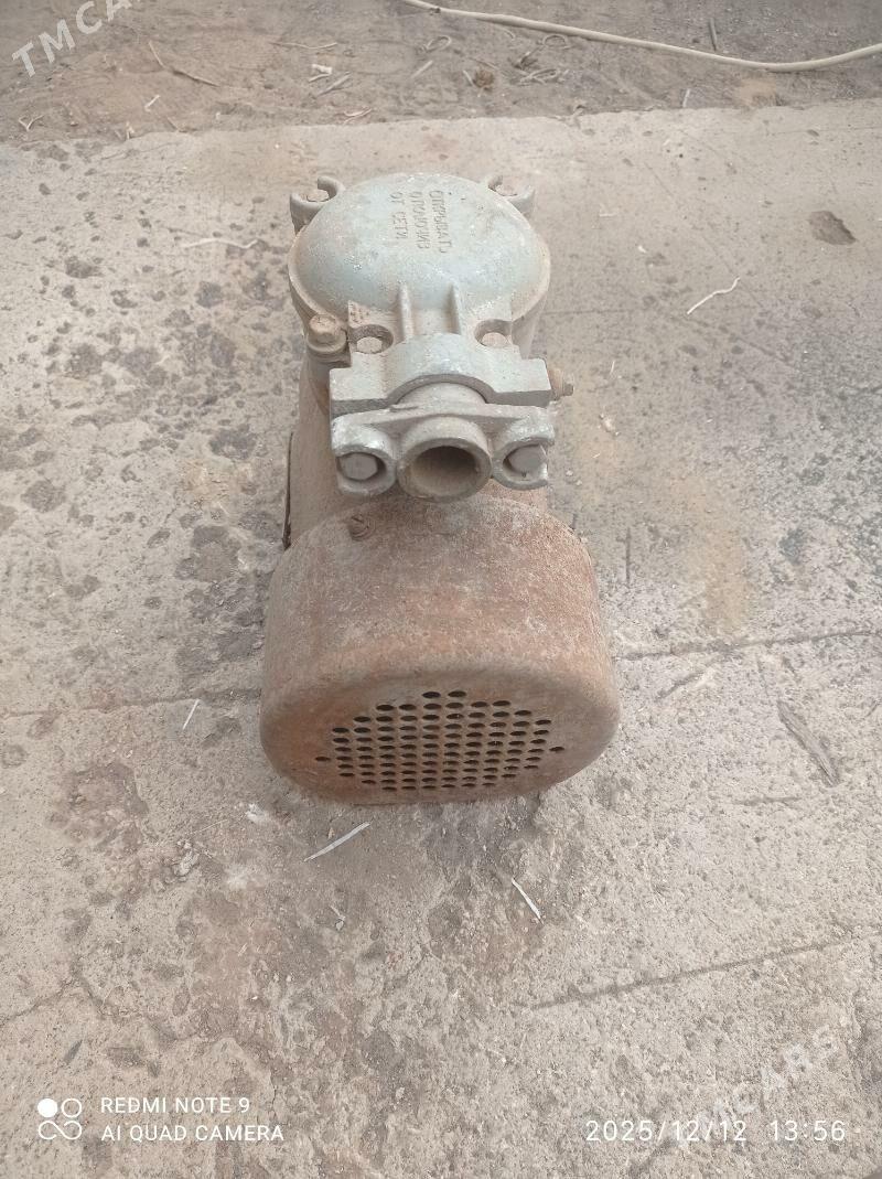 dwegitil turba kuluc - Gumdag - img 1