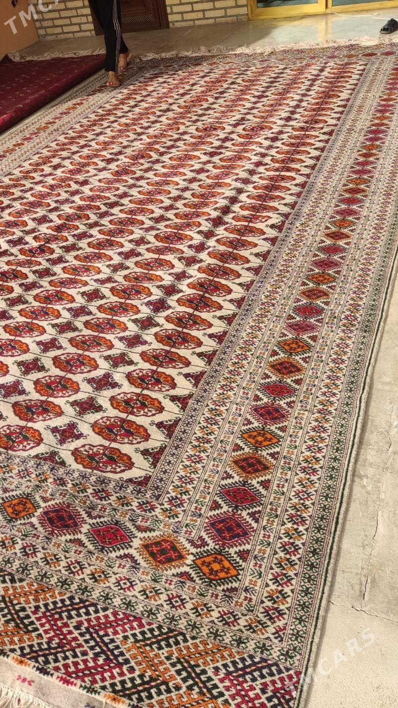 el haly 3/5 - Бахарден - img 1