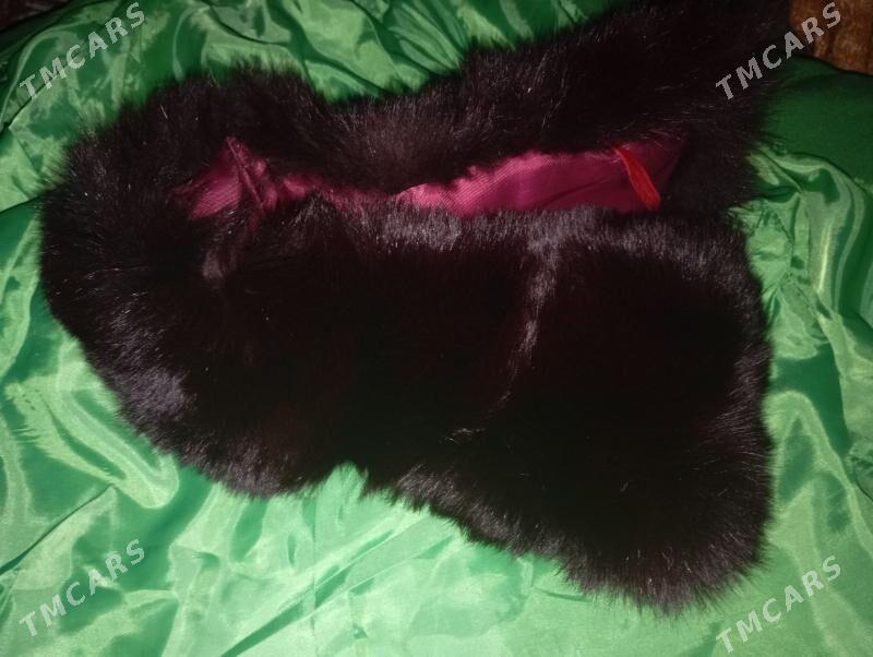 Meh na vorotnik - Türkmenabat - img 1