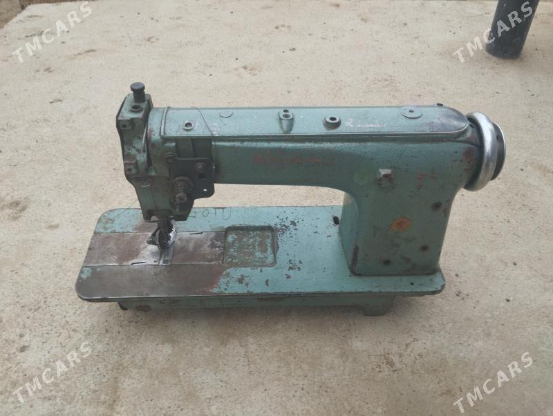 koža tikýän - Mary - img 1