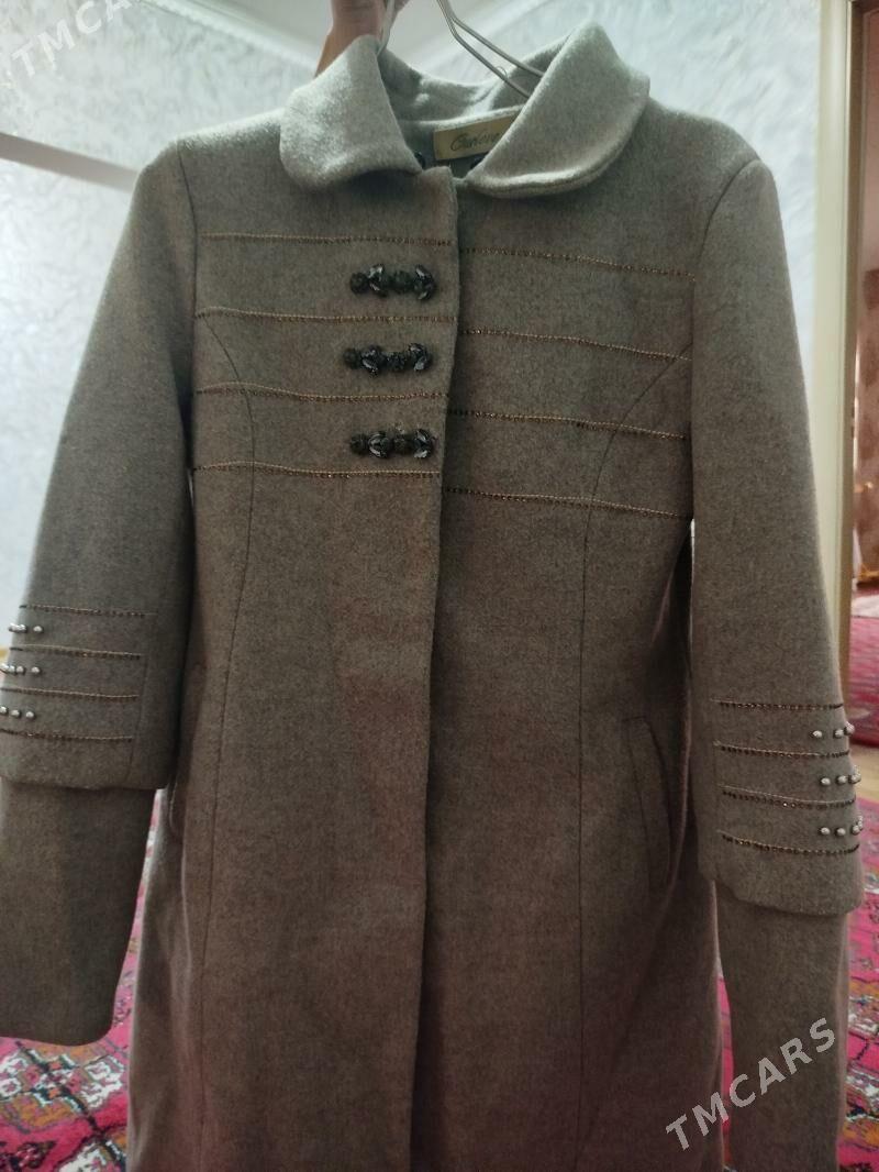 Palto - Daşoguz - img 1