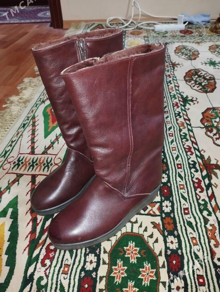 salamandyra ädik - Ким район - img 1