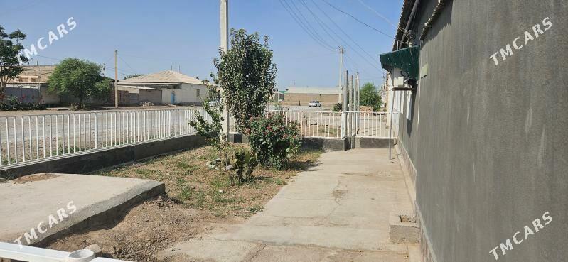 Satlyk Jaý - Tejen - img 1