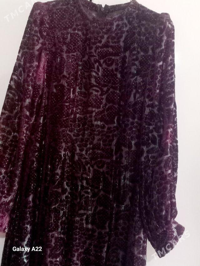 koynekler - Сакарчага - img 1