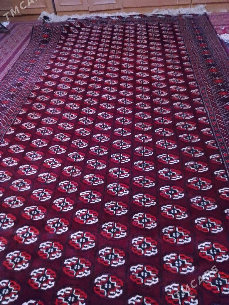 Haly - Balkanabat - img 1