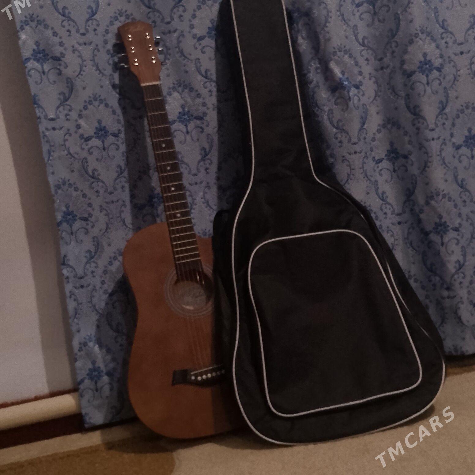 gitara - Ак-Бугдайский этрап - img 1