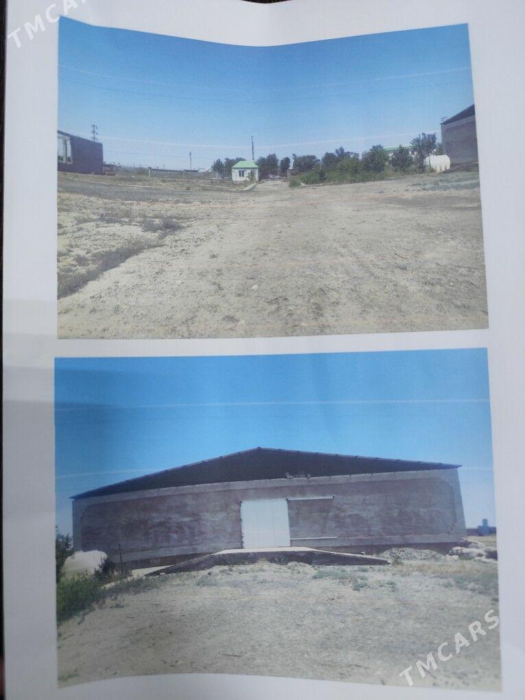 SATLYK ÖNÜMÇILIK ÝER - Aşgabat - img 1