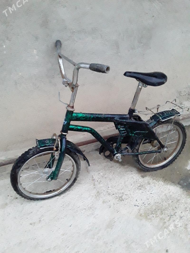 TIGIR - Änew - img 1