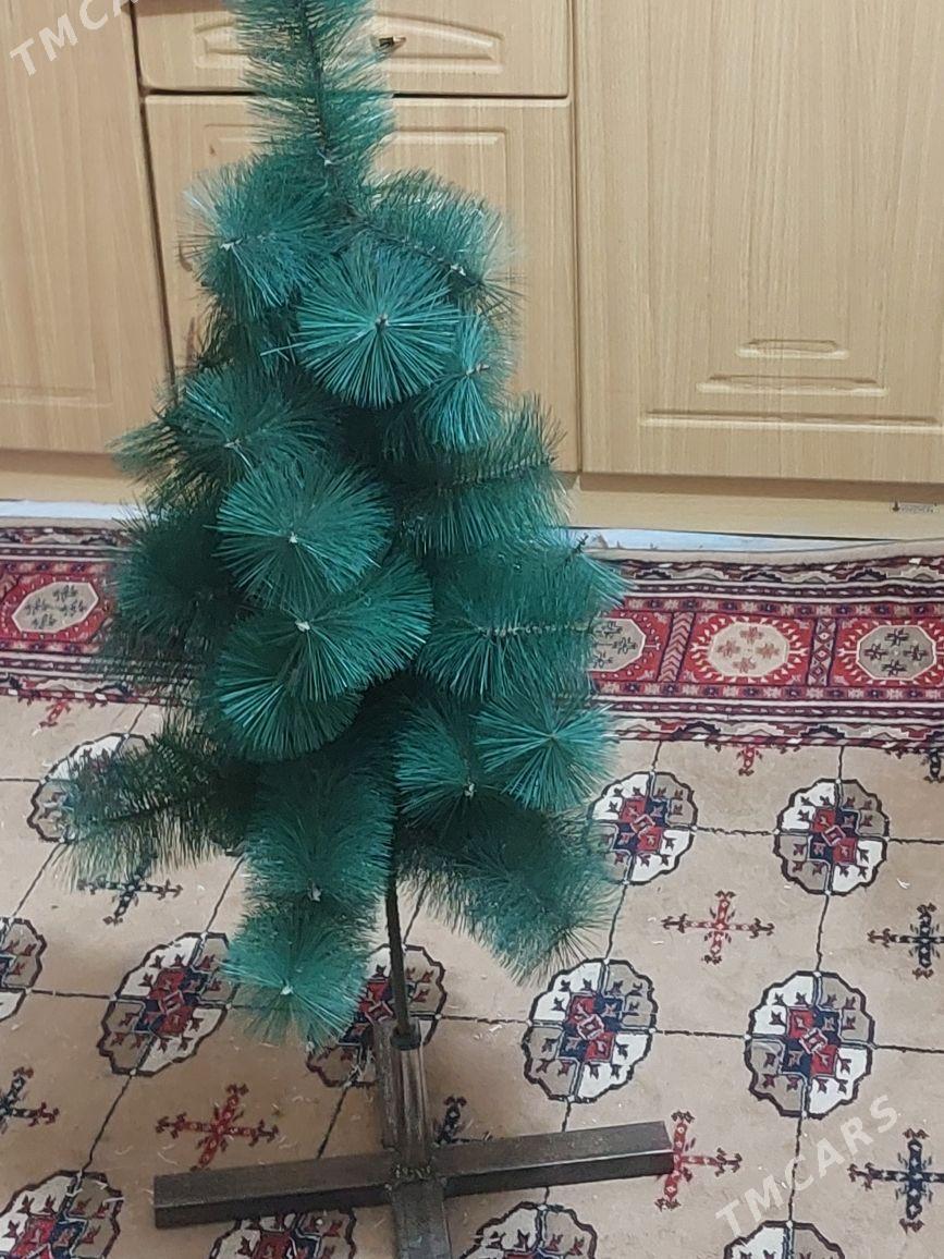 vaşyl volka - Ашхабад - img 1