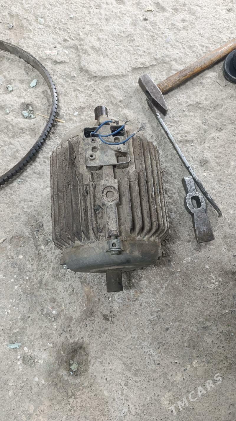 elektro mator - Mary - img 1