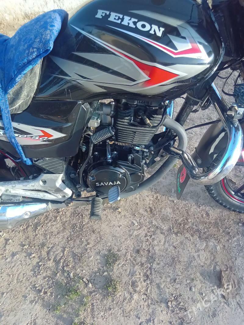 Fekon FK150-8G 2024 - 13 600 TMT - Bäherden - img 1