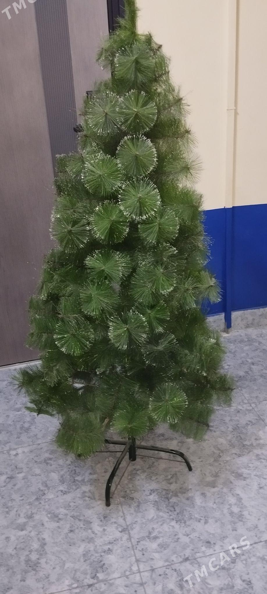 ýolka-ёлка - Ашхабад - img 1