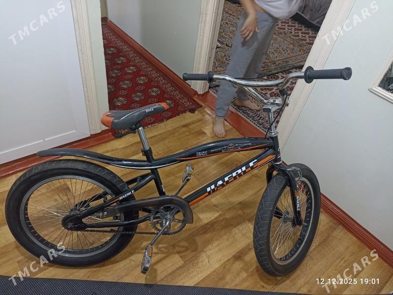 welsapet - Мары - img 1