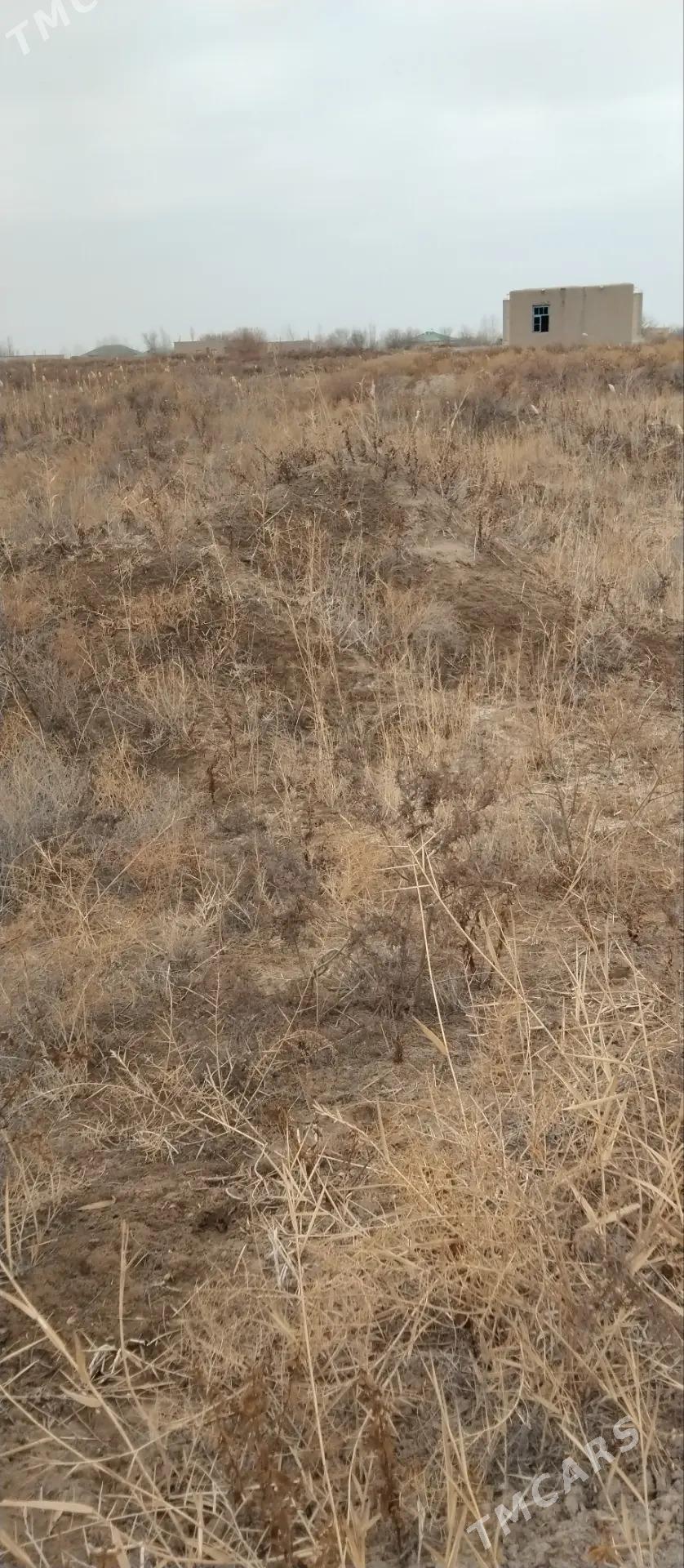 ucaska - Köneürgenç - img 1