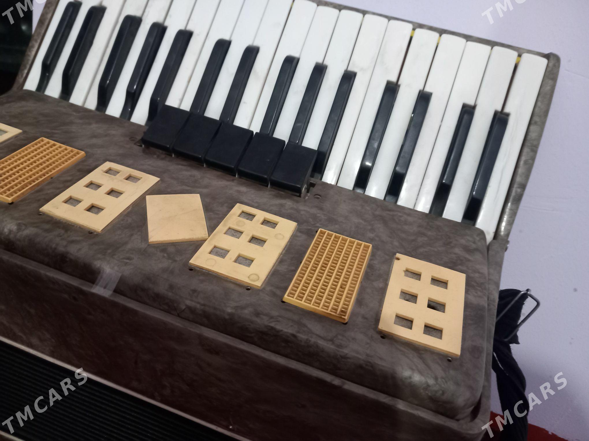 Akkordeon - етр. Туркменбаши - img 1